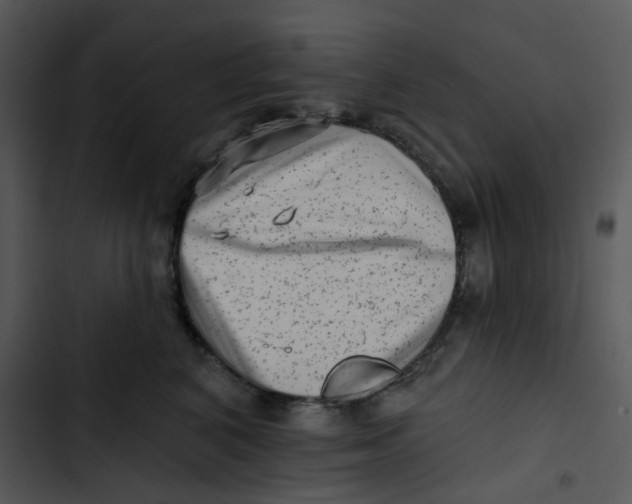 X0000102830616200809081157