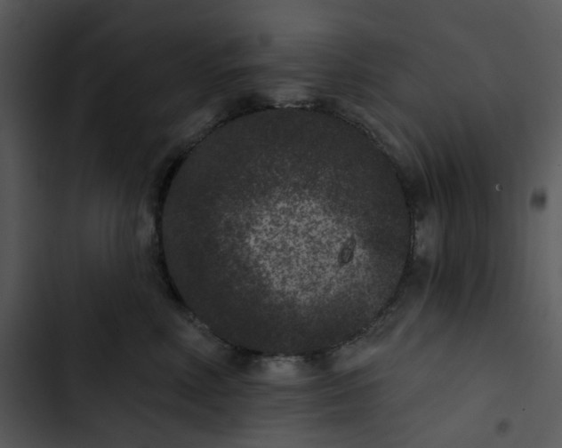 X0000102830618200809081157
