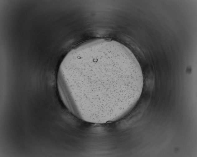 X0000102830620200809081157