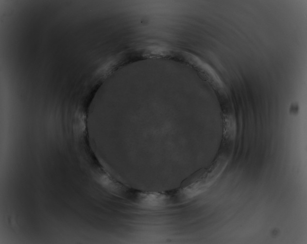 X0000102830621200809081157