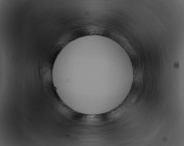 X0000102830622200809081157