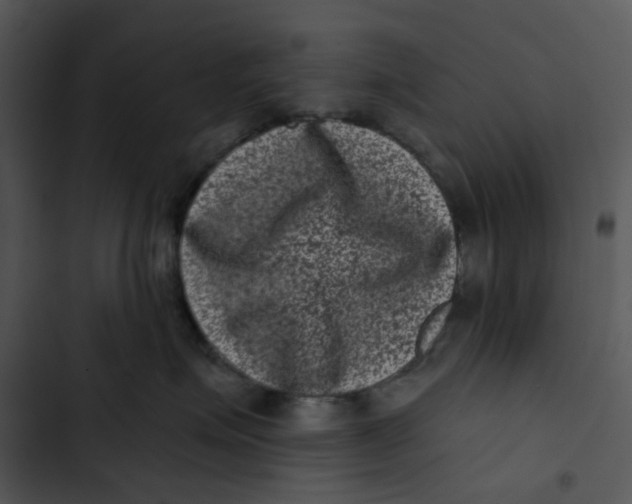 X0000102830623200809081157