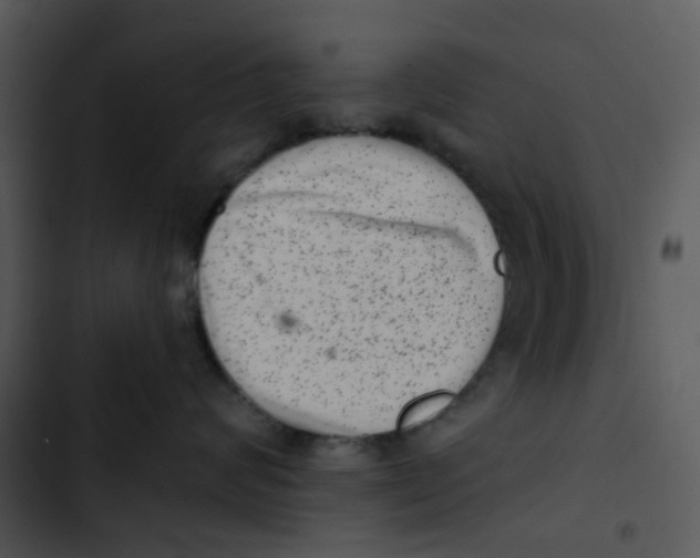 X0000102830624200809081157