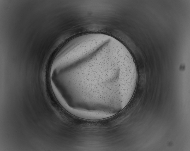 X0000102830626200809081156