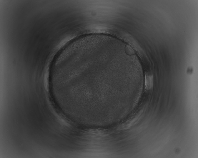 X0000102830627200809081156