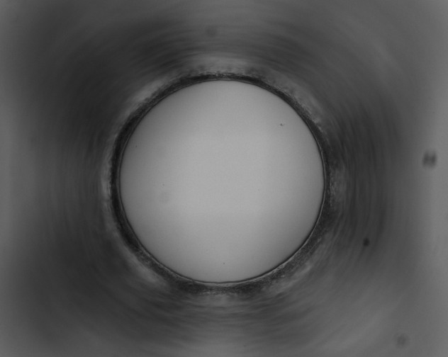 X0000102830629200809081156