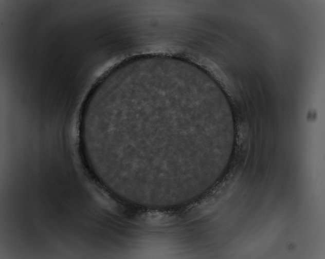 X0000102830632200809081156
