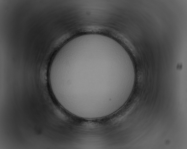 X0000102830633200809081156