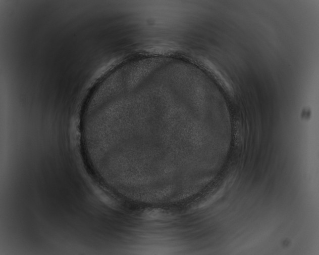 X0000102830634200809081156