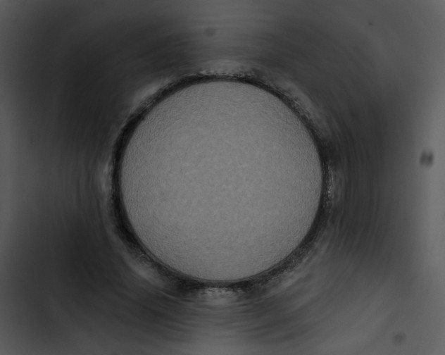 X0000102830636200809081156