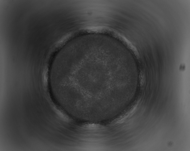 X0000102830637200809081156