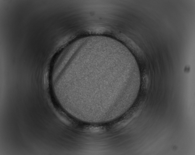 X0000102830638200809081156