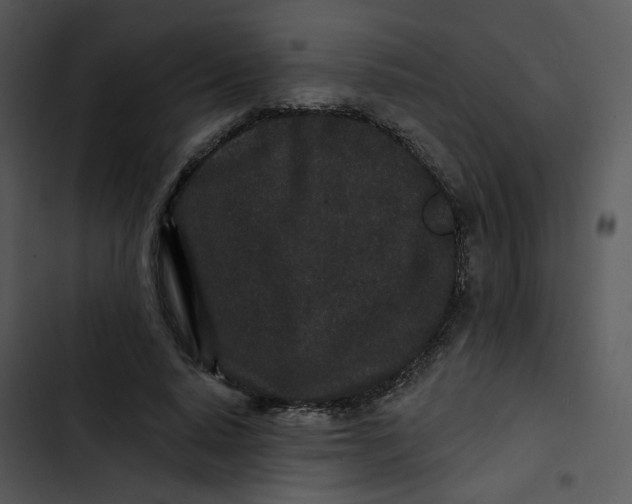 X0000102830640200809081156