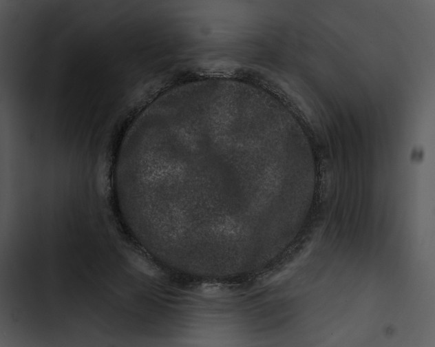 X0000102830641200809081156