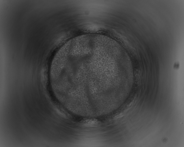 X0000102830642200809081156