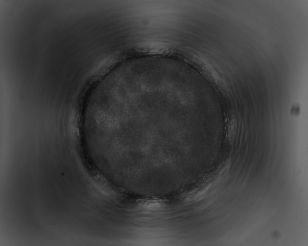 X0000102830643200809081156