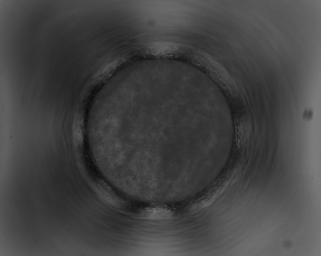 X0000102830644200809081156