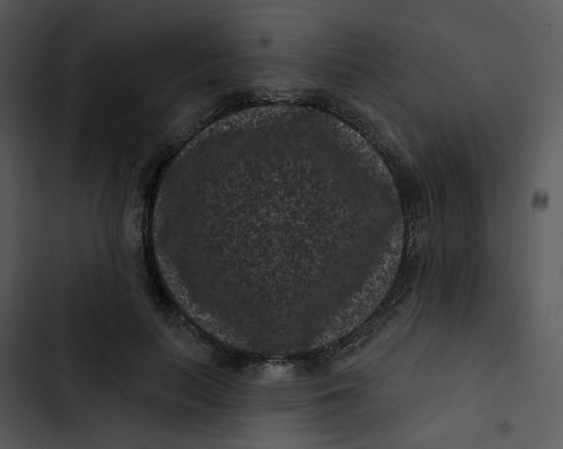 X0000102830647200809081156