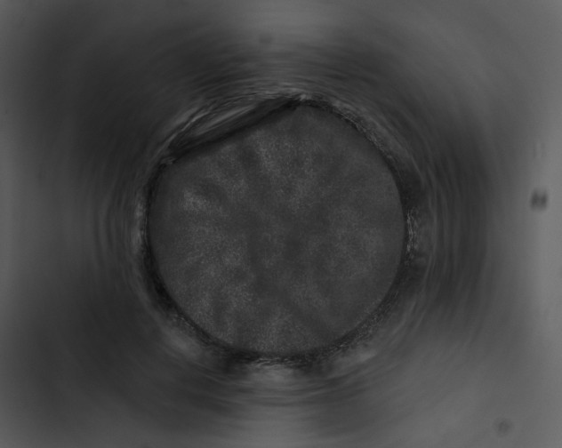 X0000102830648200809081156