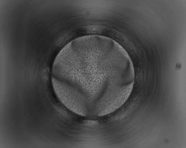 X0000102830649200809081156