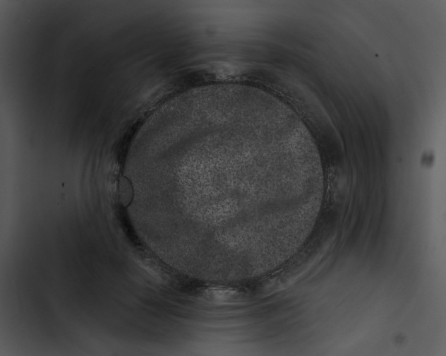 X0000102830650200809081156