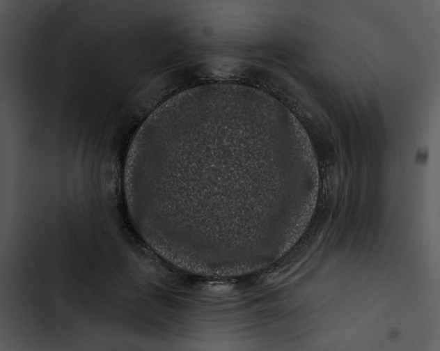 X0000102830651200809081156