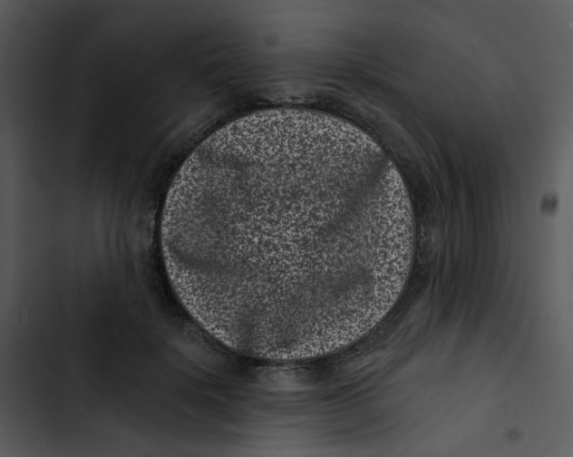 X0000102830652200809081156