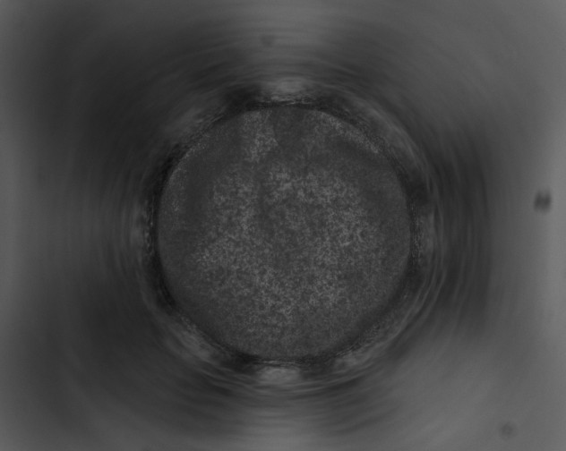 X0000102830653200809081156
