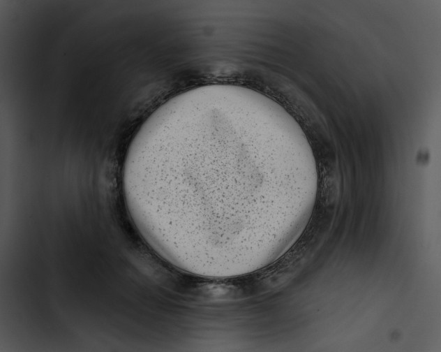 X0000102830654200809081156