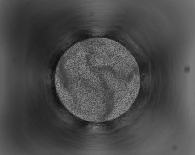 X0000102830655200809081156