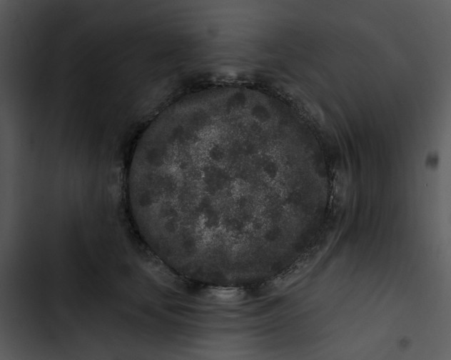 X0000102830659200809081156