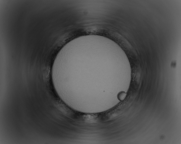 X0000102830660200809081156