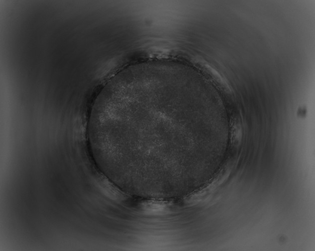 X0000102830661200809081156