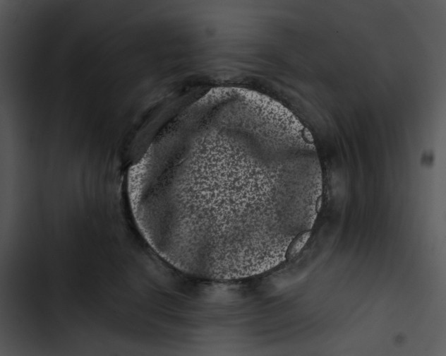 X0000102830664200809081156
