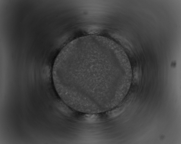 X0000102830667200809081156