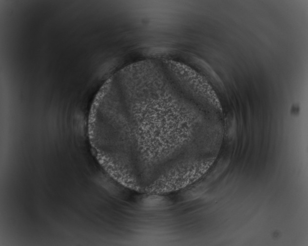 X0000102830669200809081156
