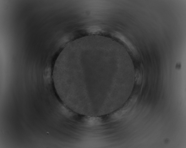 X0000102830670200809081156