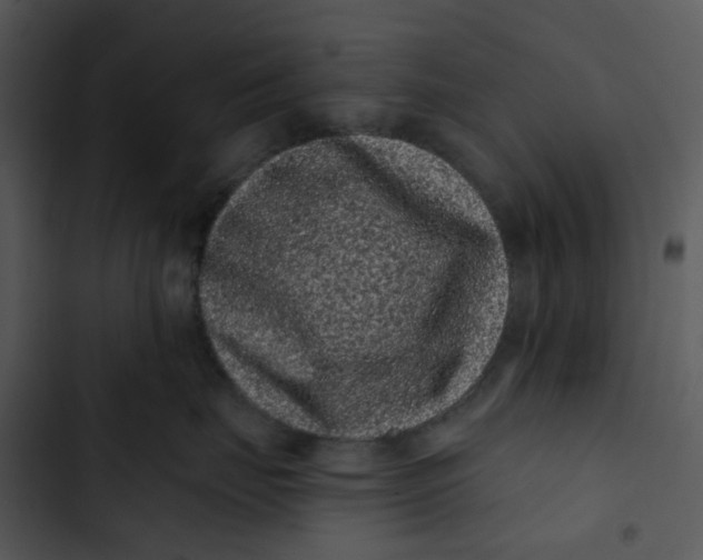 X0000102830671200809081156