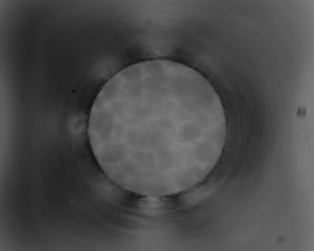 X0000102830672200809081157