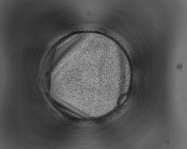 X0000102830673200809081156