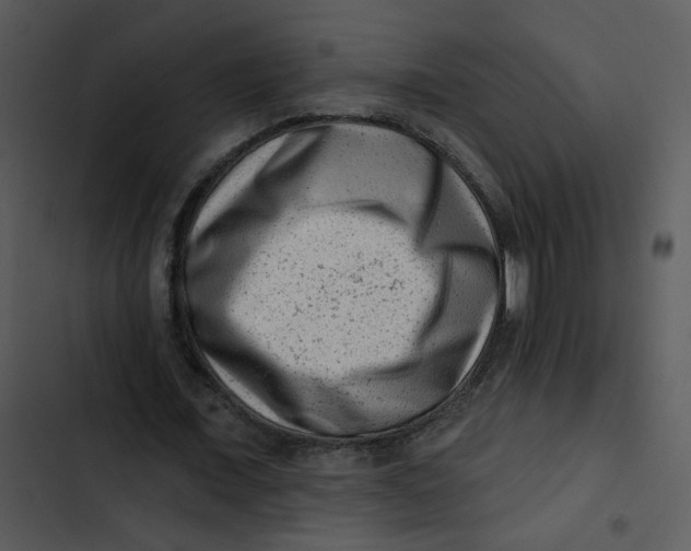 X0000102830675200809081156