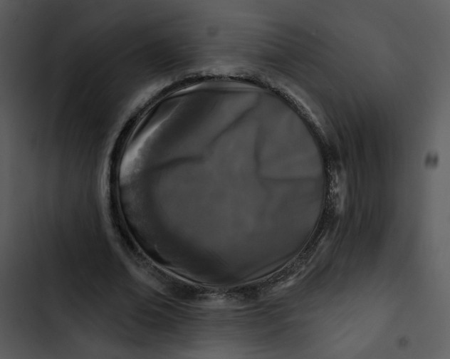 X0000102830678200809081156