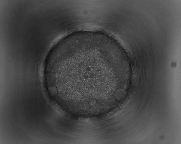 X0000102830679200809081156