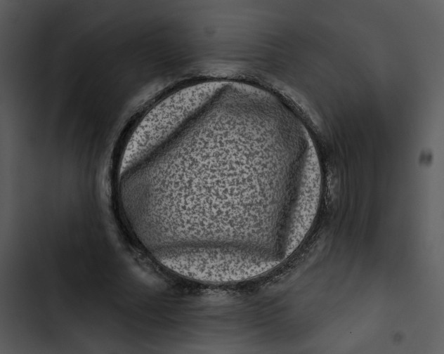 X0000102830682200809081156