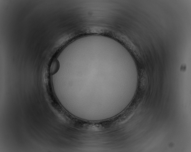 X0000102830683200809081156