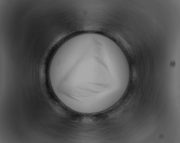 X0000102830684200809081156