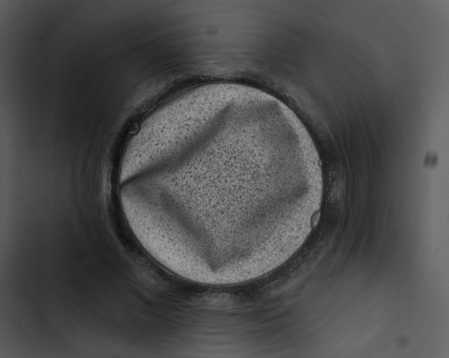 X0000102830685200809081156