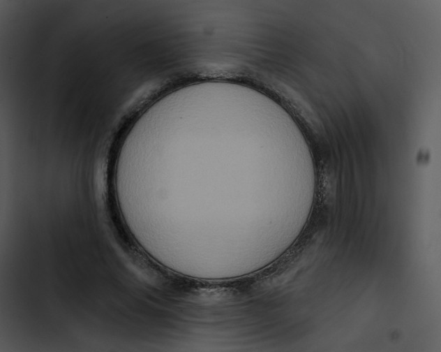 X0000102830686200809081156