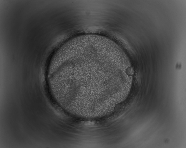 X0000102830687200809081155