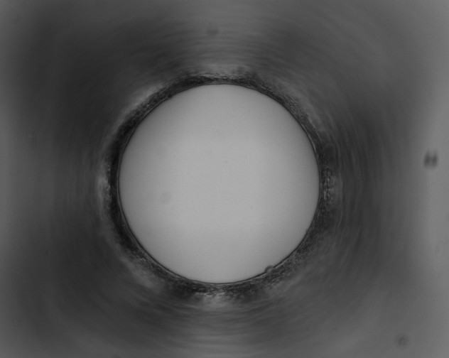 X0000102830688200809081155